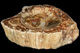 Polished Petrified Wood Dish - Madagascar #117383-1